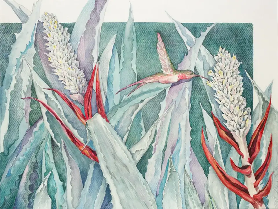 Humming bird artwork from Val Gallery